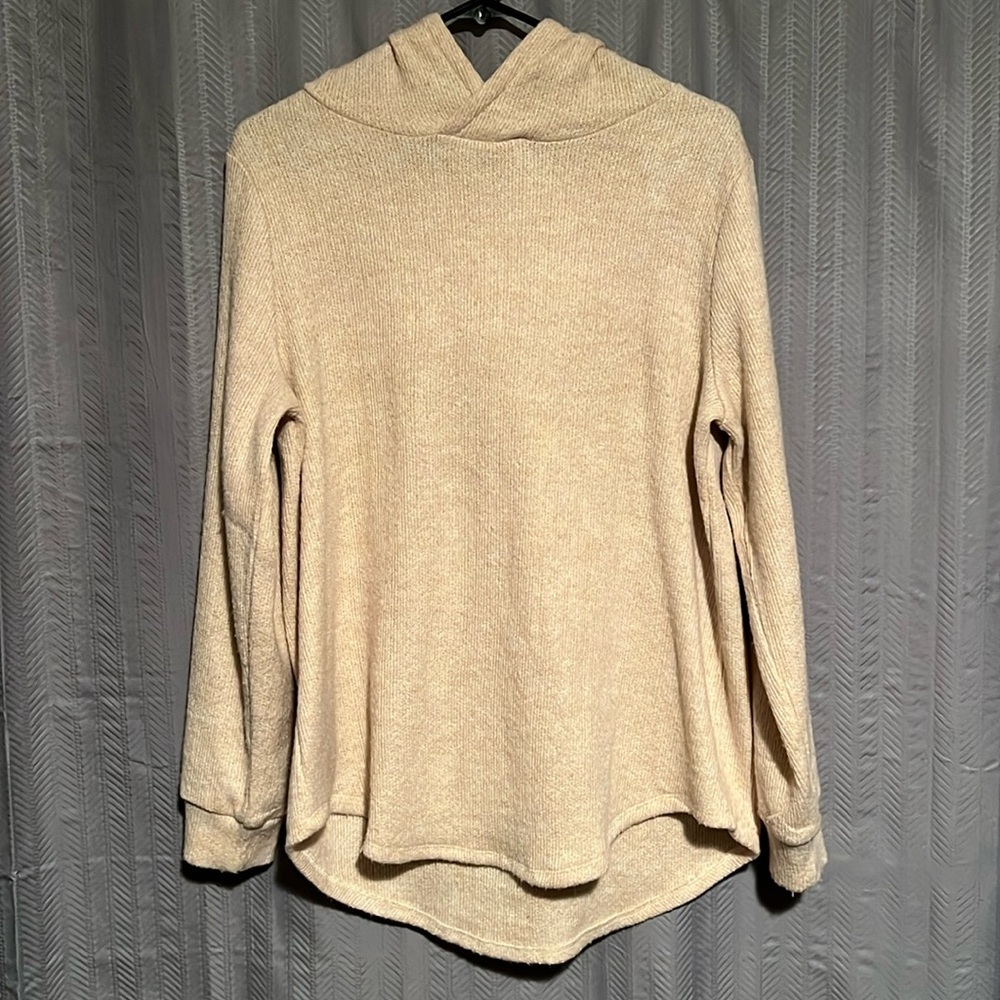 LOFT Hoodie Sweater